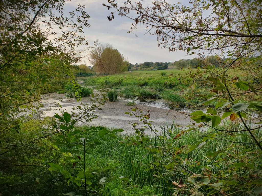 Hrubieszów: Mało wody w Huczwie [ZDJĘCIA]