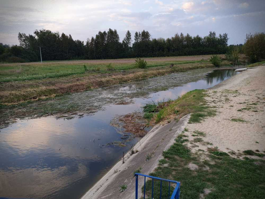 Hrubieszów: Mało wody w Huczwie [ZDJĘCIA]