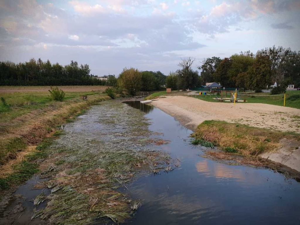 Hrubieszów: Mało wody w Huczwie [ZDJĘCIA]
