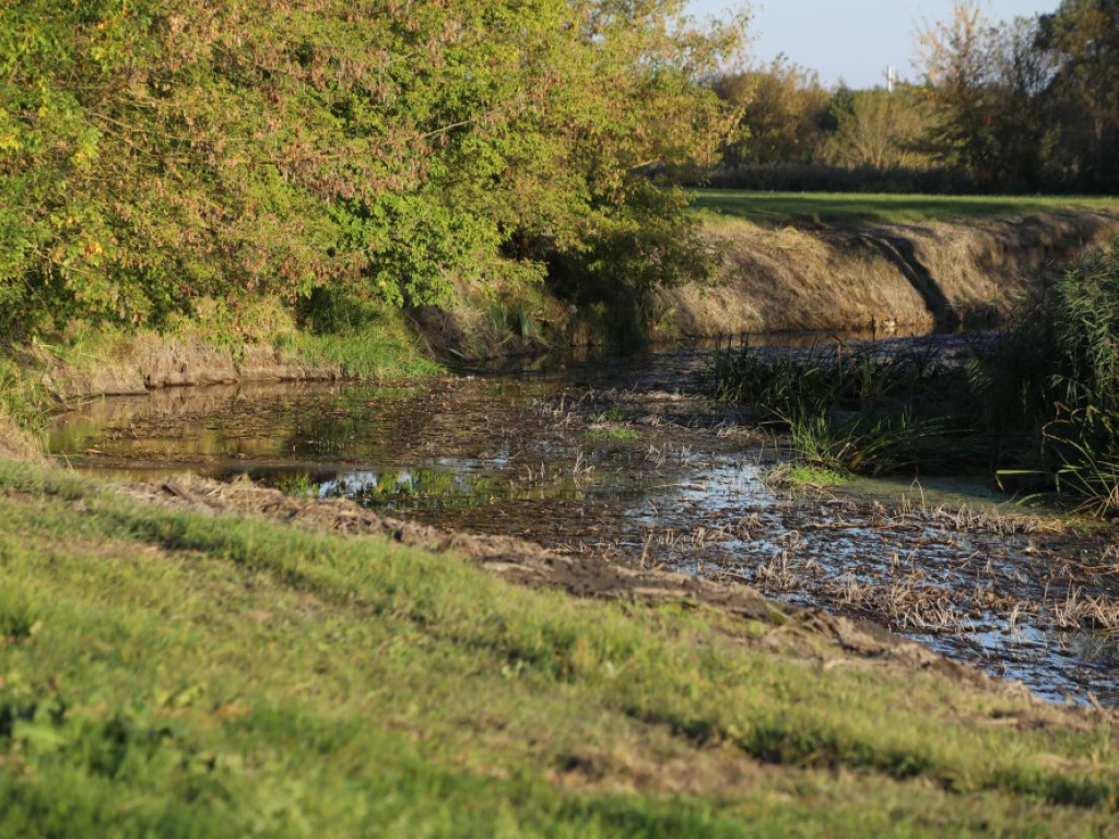Gdzieś w Hrubieszowie... Łąki nad Huczwą [ZDJĘCIA]