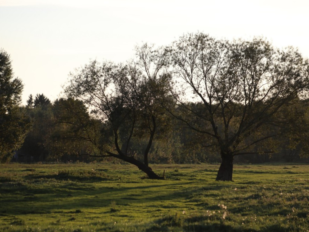 Gdzieś w Hrubieszowie... Łąki nad Huczwą [ZDJĘCIA]