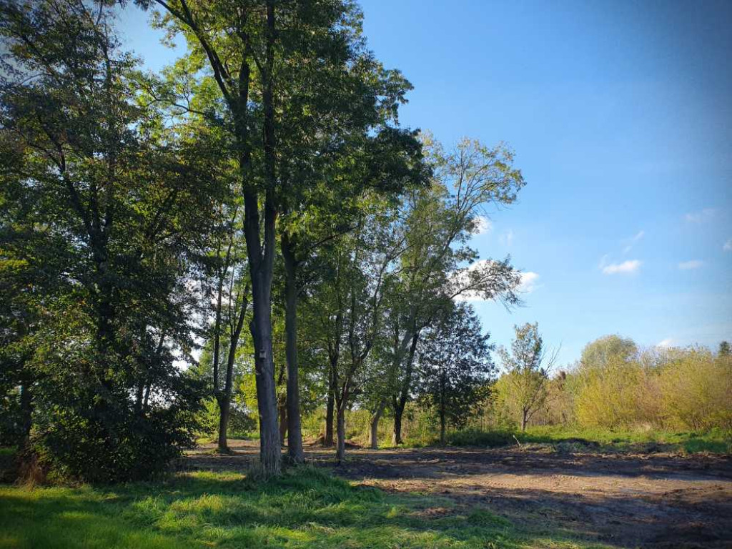 Hrubieszów: Trwają prace przy polu namiotowym [ZDJĘCIA]