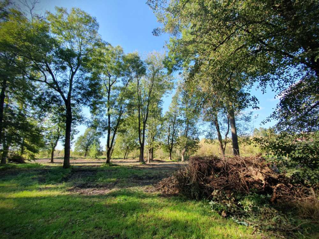 Hrubieszów: Trwają prace przy polu namiotowym [ZDJĘCIA]