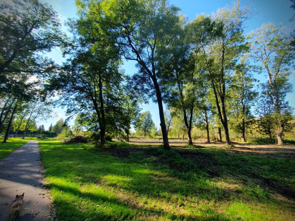 Hrubieszów: Trwają prace przy polu namiotowym [ZDJĘCIA]