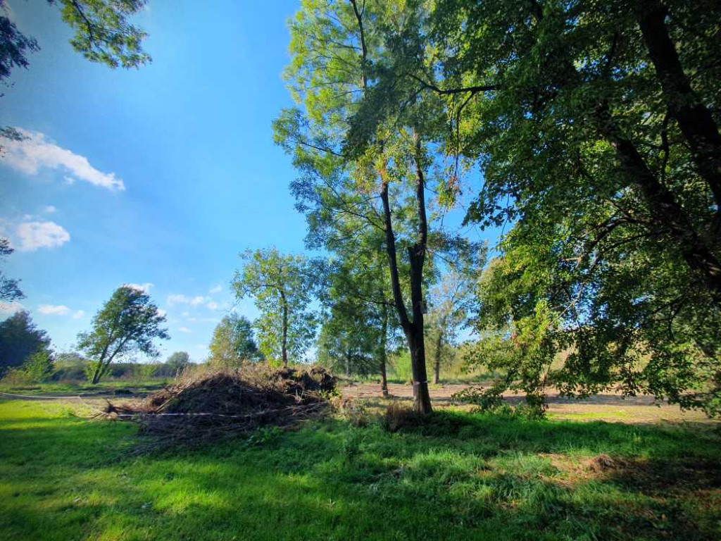 Hrubieszów: Trwają prace przy polu namiotowym [ZDJĘCIA]