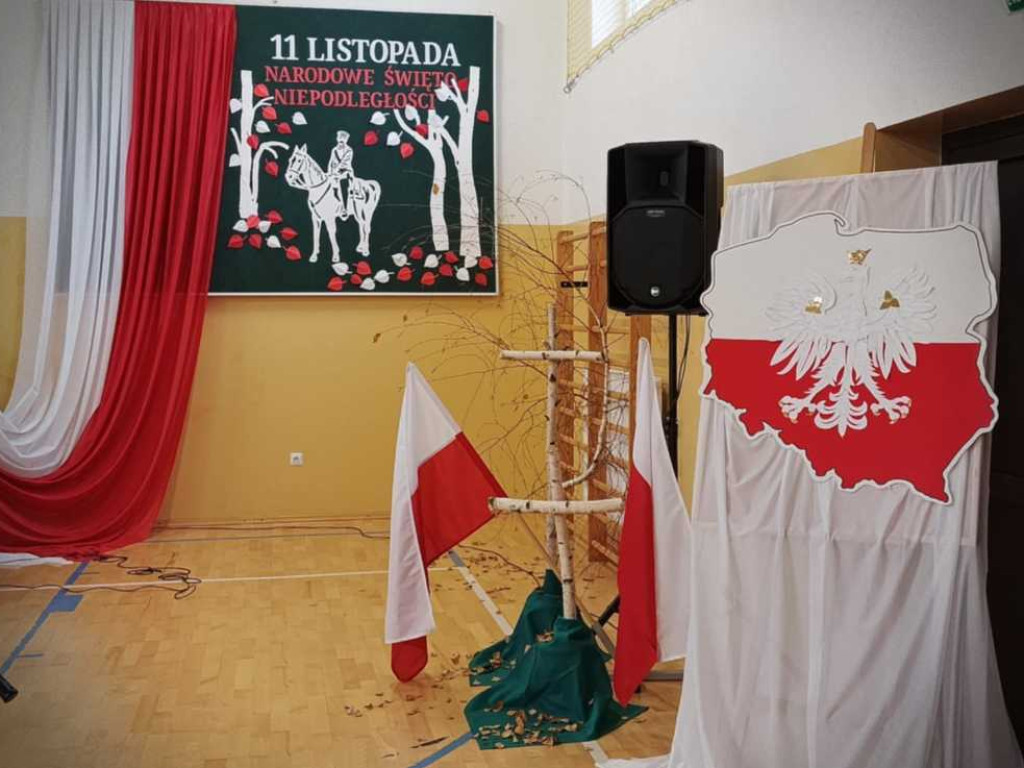 Uczniowie dla Niepodległej... [ZDJĘCIA, WIDEO]