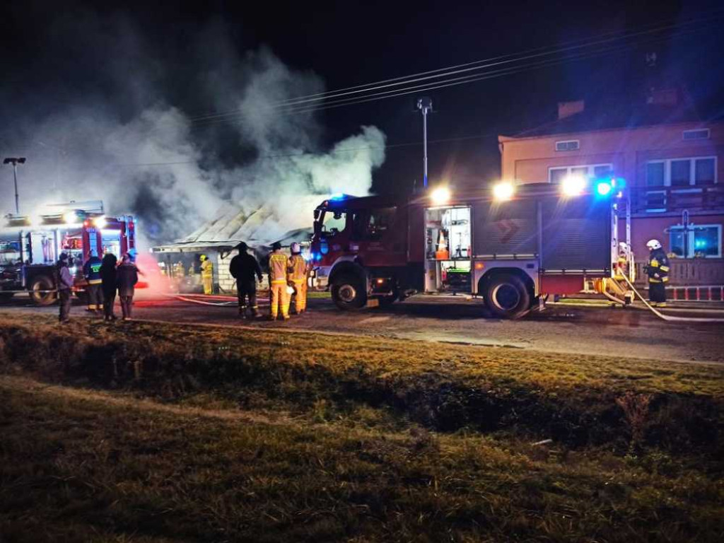 Rodzinna tragedia. W pożarze zginął ojciec i trójka dzieci [ZDJĘCIA]