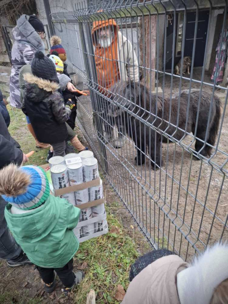 Hrubieszów: Młodzi piłkarze dla zwierzaków [ZDJĘCIA]