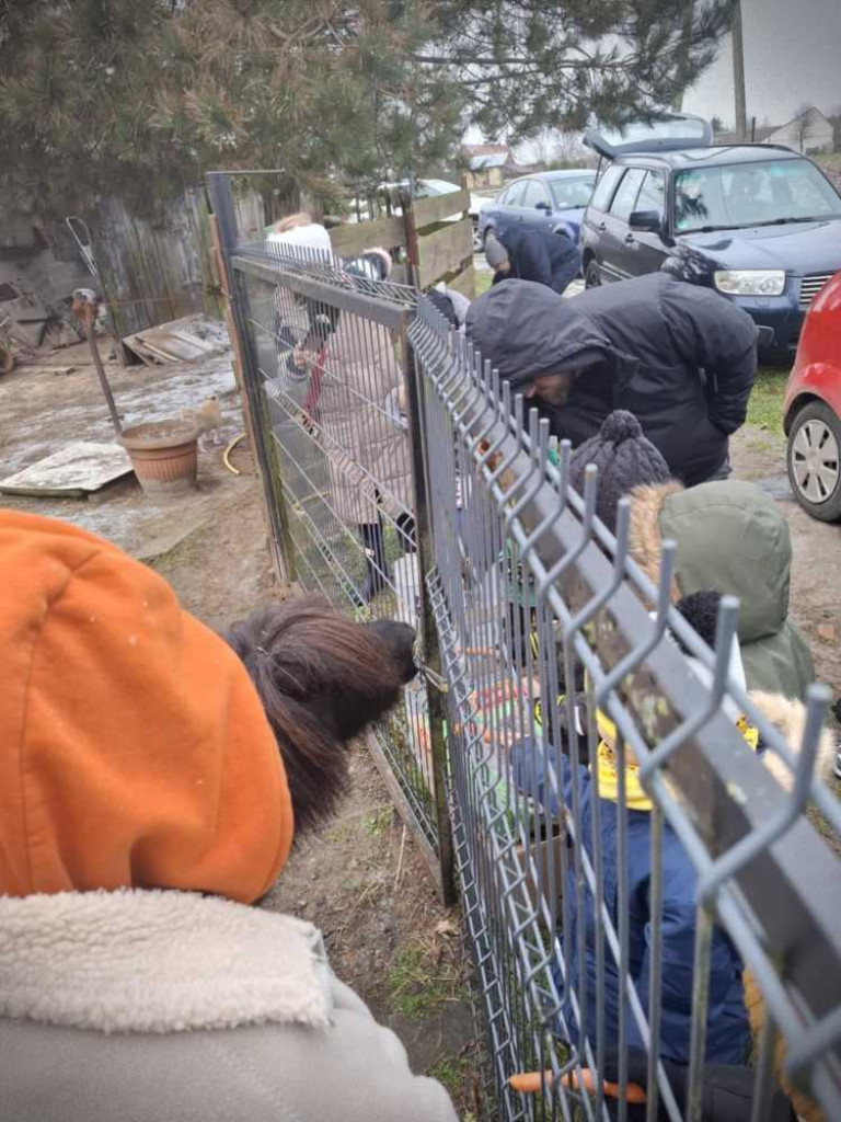 Hrubieszów: Młodzi piłkarze dla zwierzaków [ZDJĘCIA]