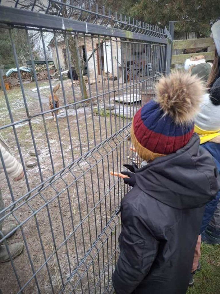 Hrubieszów: Młodzi piłkarze dla zwierzaków [ZDJĘCIA]