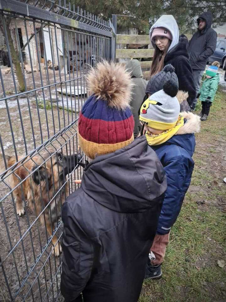 Hrubieszów: Młodzi piłkarze dla zwierzaków [ZDJĘCIA]