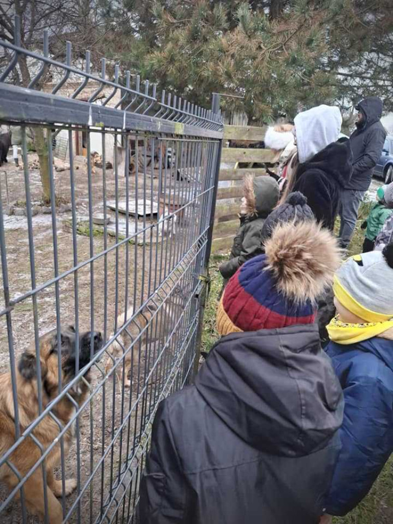 Hrubieszów: Młodzi piłkarze dla zwierzaków [ZDJĘCIA]