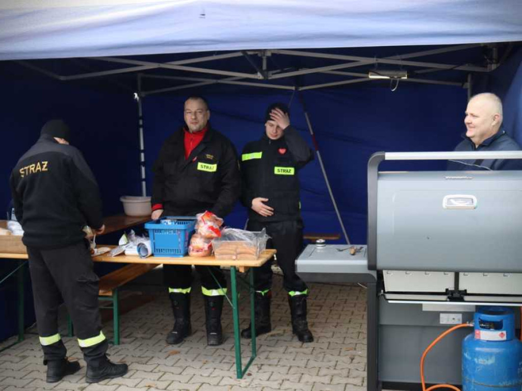 33 Finał WOŚP w Dołhobyczowie i Strzyżowie [ZDJĘCIA]