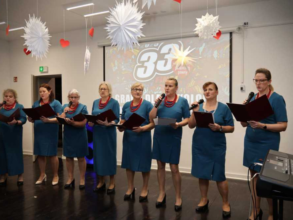 33 Finał WOŚP w Dołhobyczowie i Strzyżowie [ZDJĘCIA]