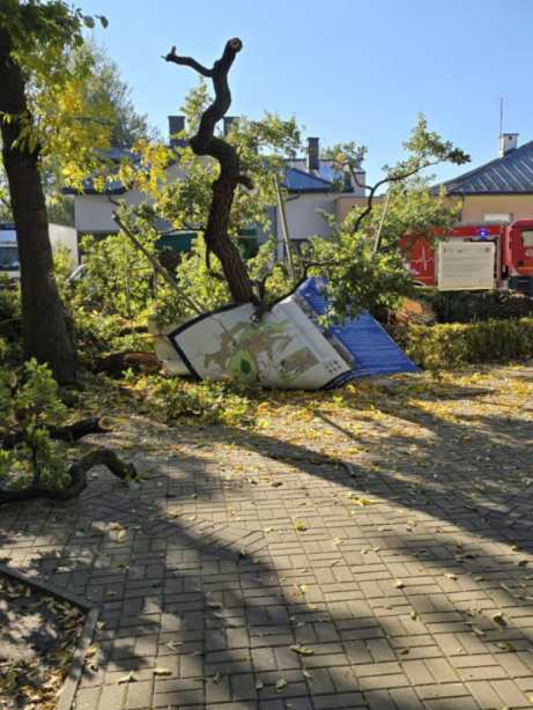 Hrubieszów: 962 zdarzeń, 13 ofiar śmiertelnych, ponad 4 mln zł strat - strażacy podsumowali rok 2024 [ZDJĘCIA]