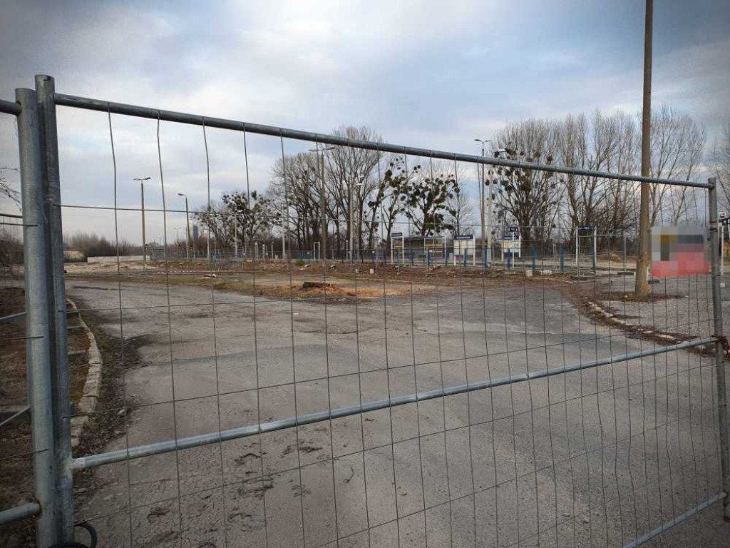 Hrubieszów: Tutaj też już nie ma drzew... [ZDJĘCIA]