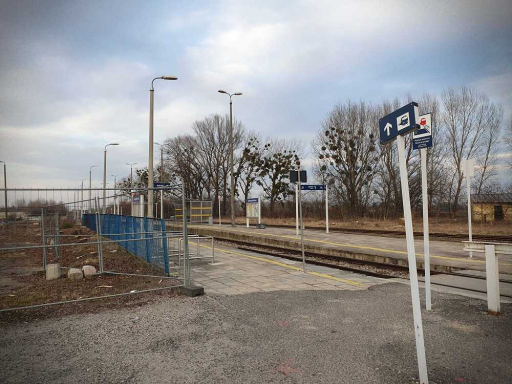 Hrubieszów: Tutaj też już nie ma drzew... [ZDJĘCIA]