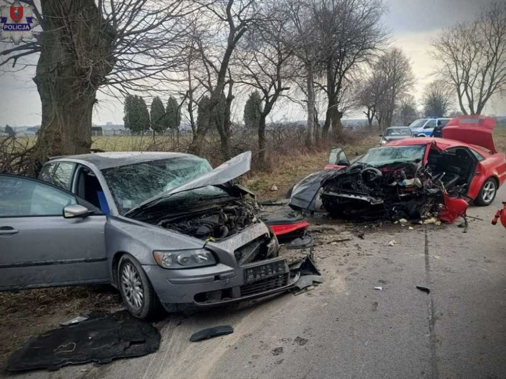 Śmiertelny wypadek koło Sitna [ZDJĘCIA]