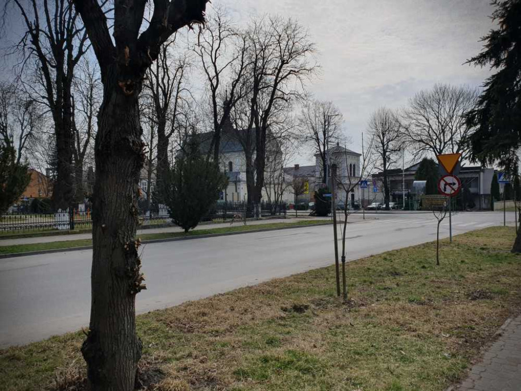 Gdzieś w Hrubieszowie... Sarna w centrum miasta [ZDJĘCIA]