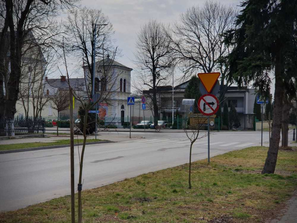 Gdzieś w Hrubieszowie... Sarna w centrum miasta [ZDJĘCIA]