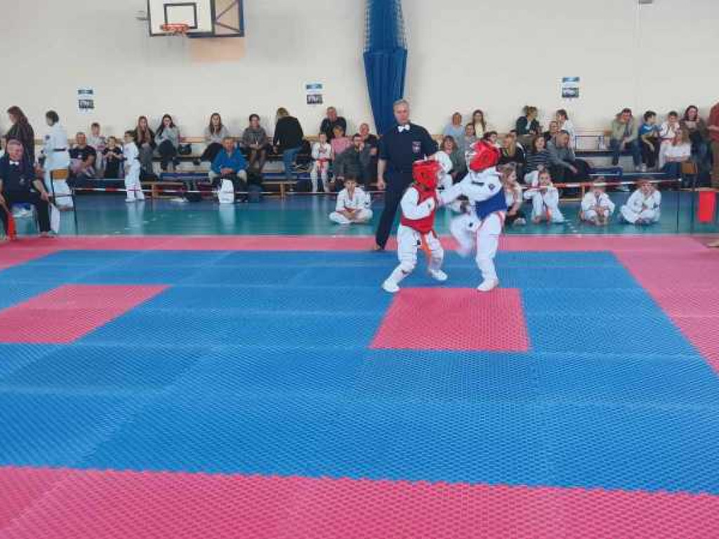 Walczyli na macie. Ogólnopolski turniej karate w Hrubieszowie [ZDJĘCIA]