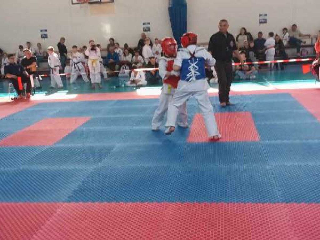 Walczyli na macie. Ogólnopolski turniej karate w Hrubieszowie [ZDJĘCIA]