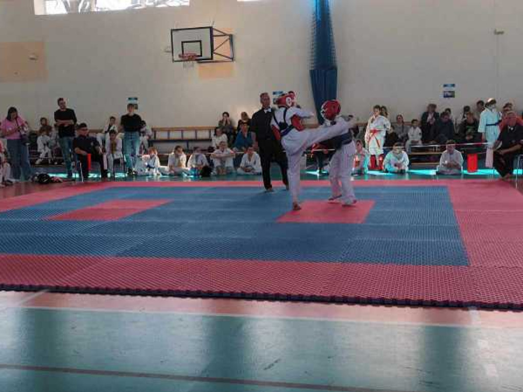 Walczyli na macie. Ogólnopolski turniej karate w Hrubieszowie [ZDJĘCIA]