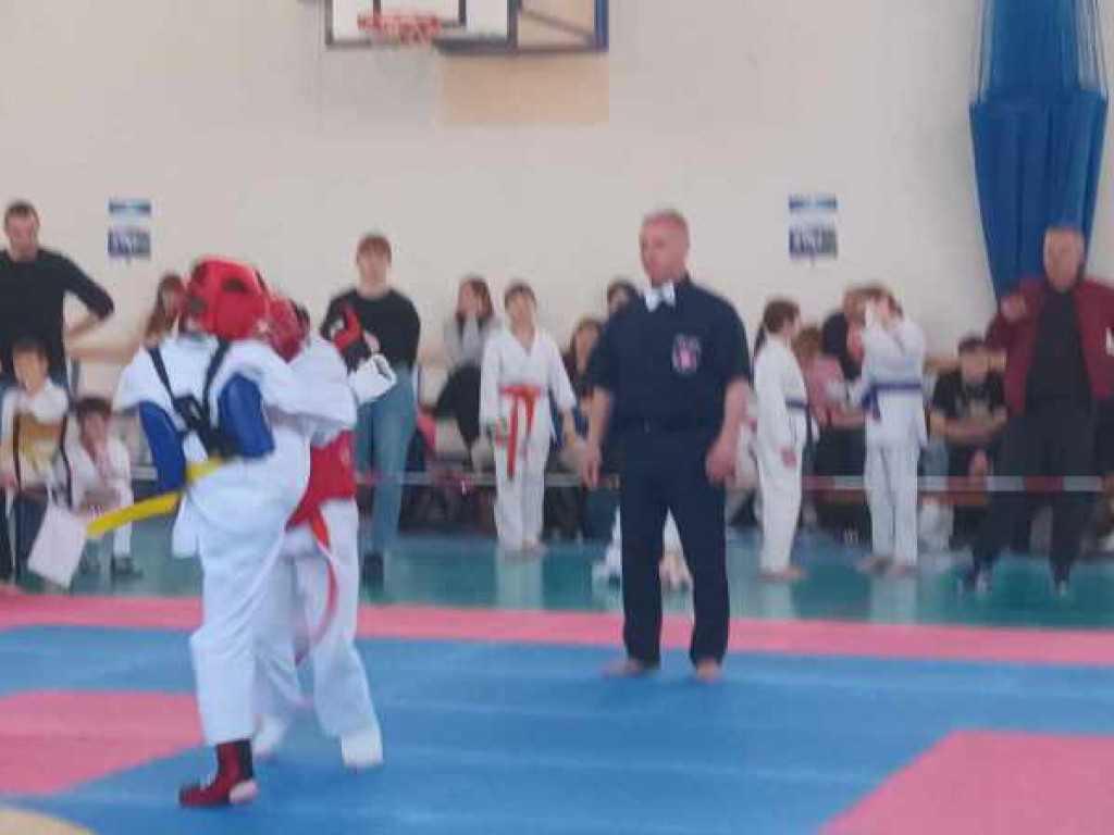 Walczyli na macie. Ogólnopolski turniej karate w Hrubieszowie [ZDJĘCIA]