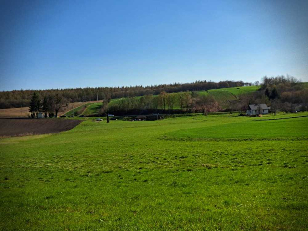 Pamięci Mieczysława Wróblewskiego ps. 