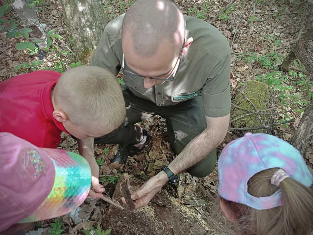 Hrubieszów: Przedszkolaki w nadleśnictwie [ZDJĘCIA]