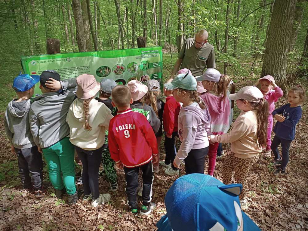 Hrubieszów: Przedszkolaki w nadleśnictwie [ZDJĘCIA]