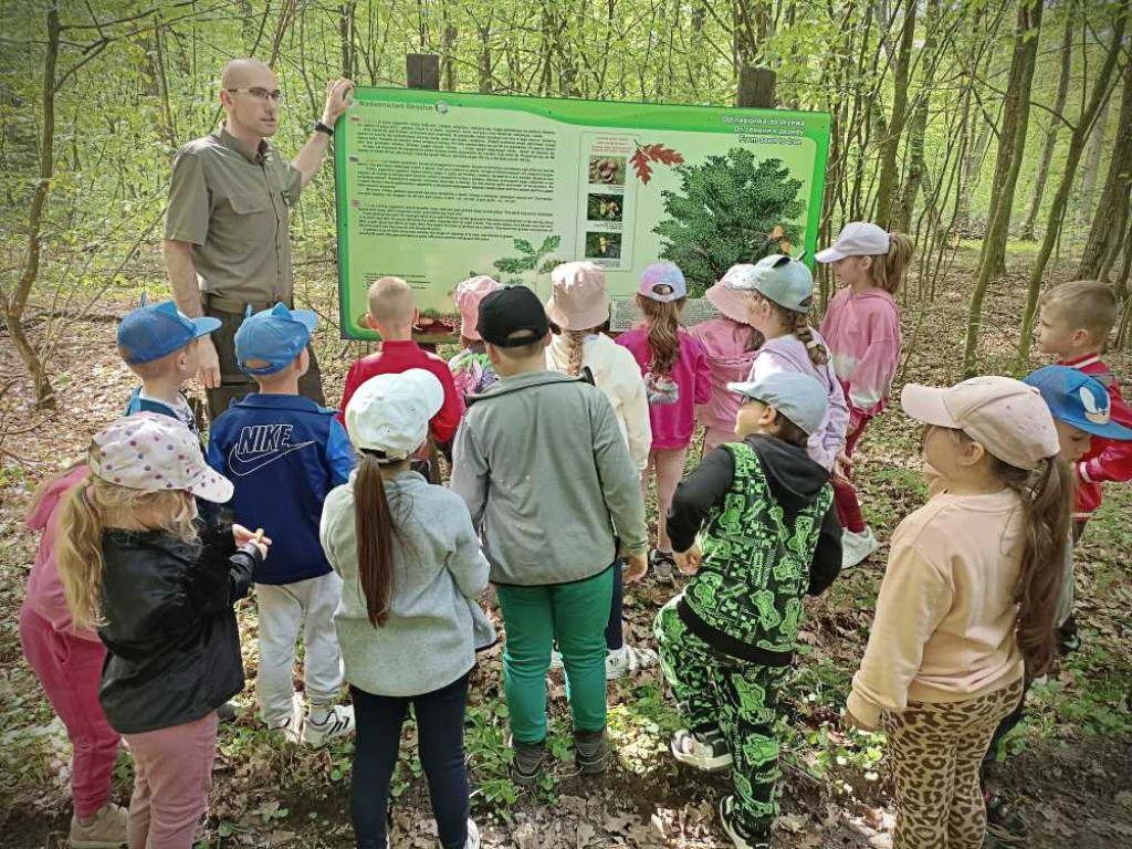 Hrubieszów: Przedszkolaki w nadleśnictwie [ZDJĘCIA]