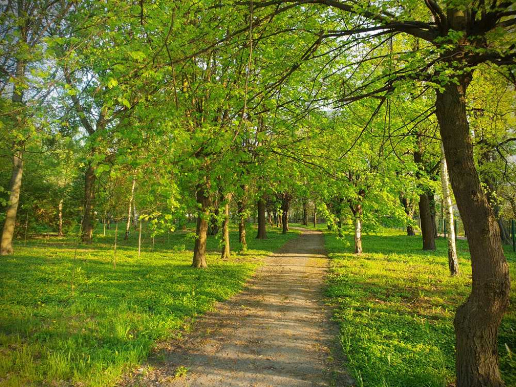 Gdzieś w Hrubieszowie... Park, ale nie ten... [ZDJĘCIA]