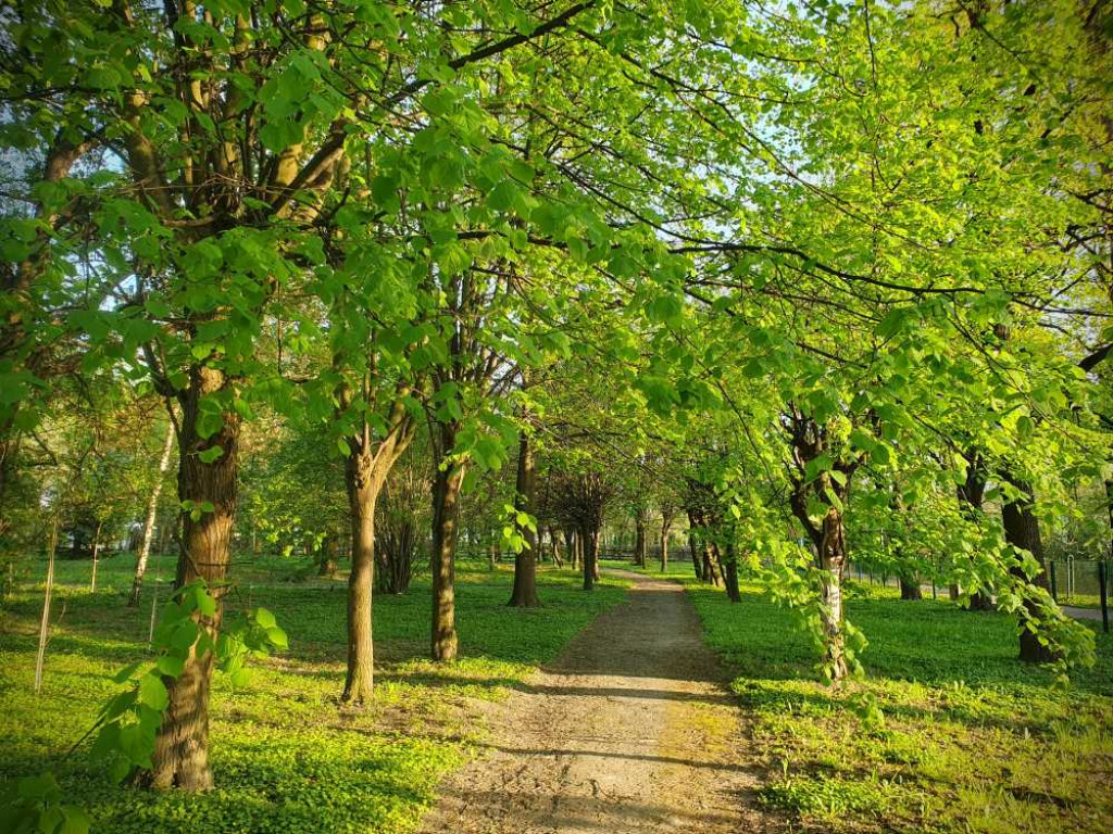 Gdzieś w Hrubieszowie... Park, ale nie ten... [ZDJĘCIA]
