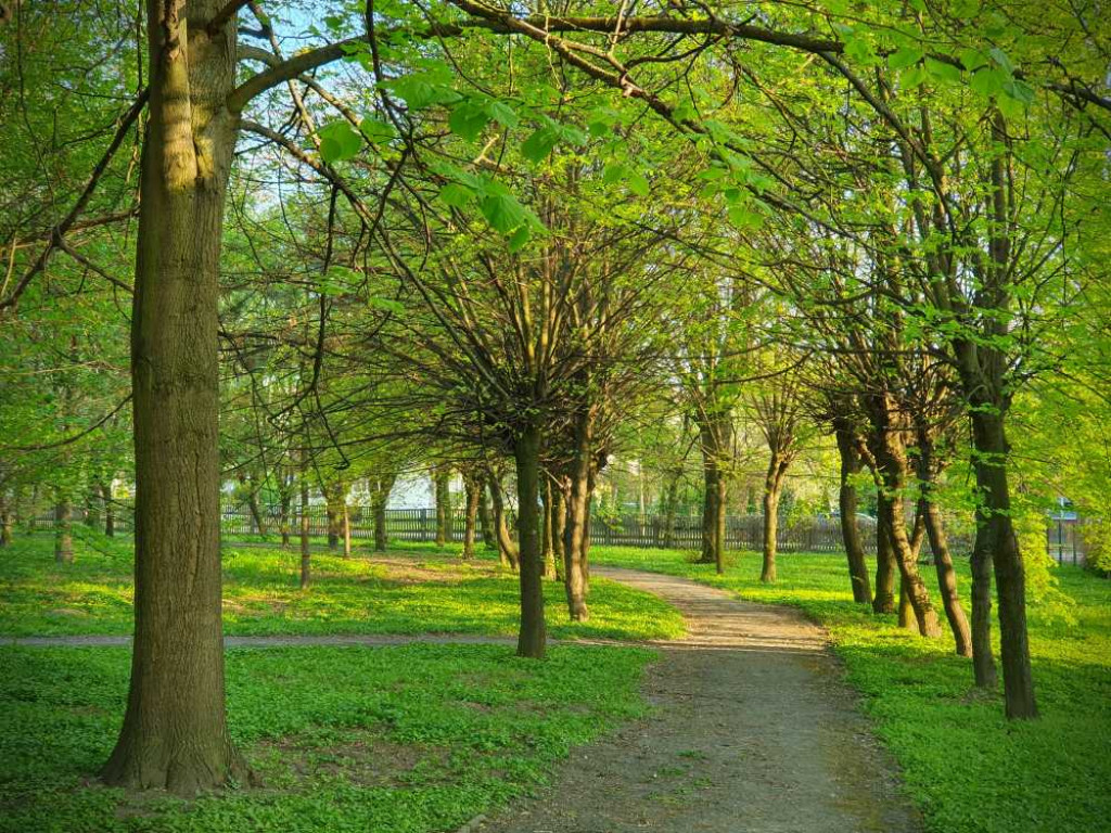Gdzieś w Hrubieszowie... Park, ale nie ten... [ZDJĘCIA]