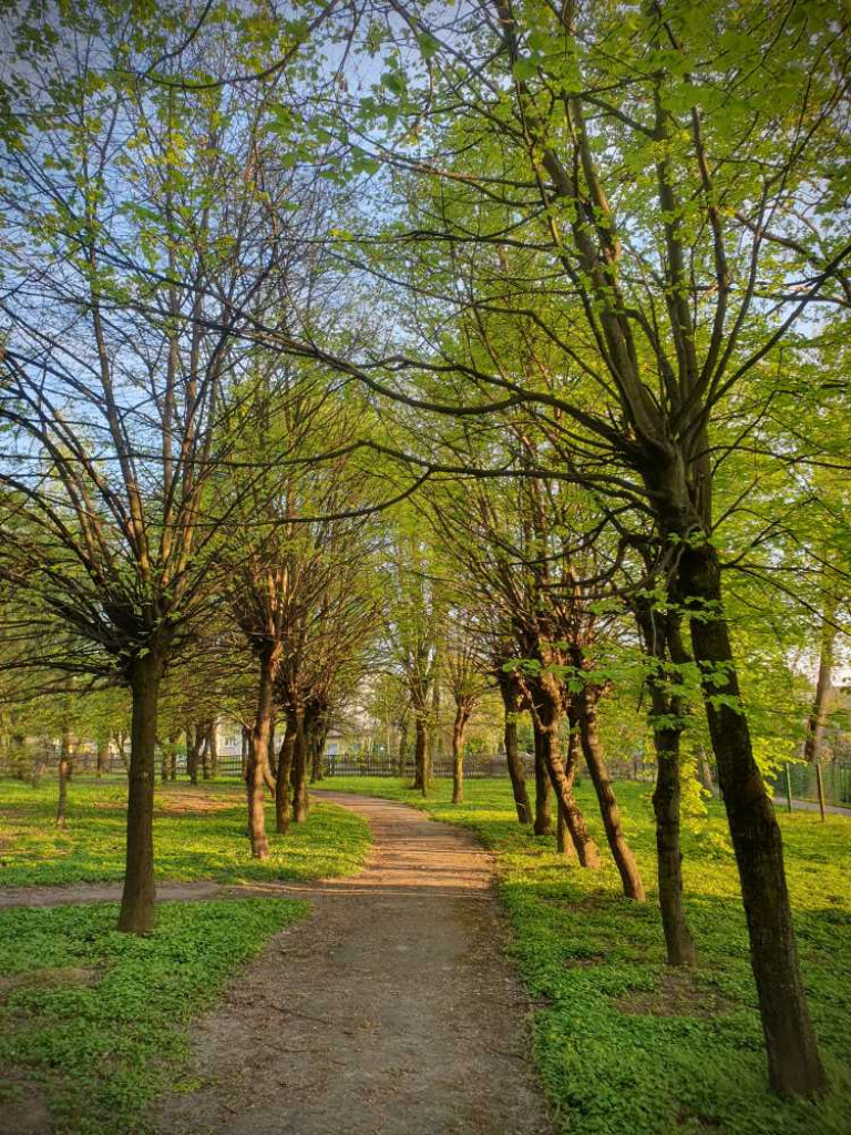 Gdzieś w Hrubieszowie... Park, ale nie ten... [ZDJĘCIA]
