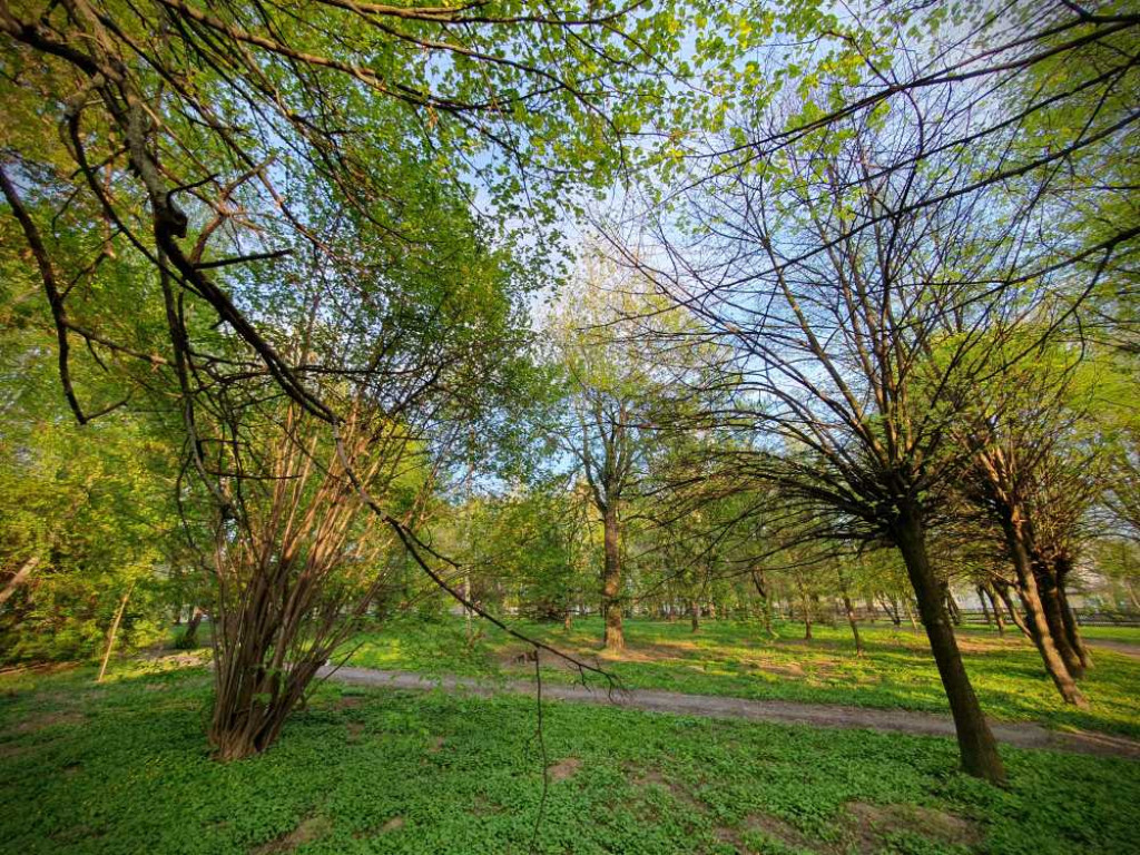 Gdzieś w Hrubieszowie... Park, ale nie ten... [ZDJĘCIA]