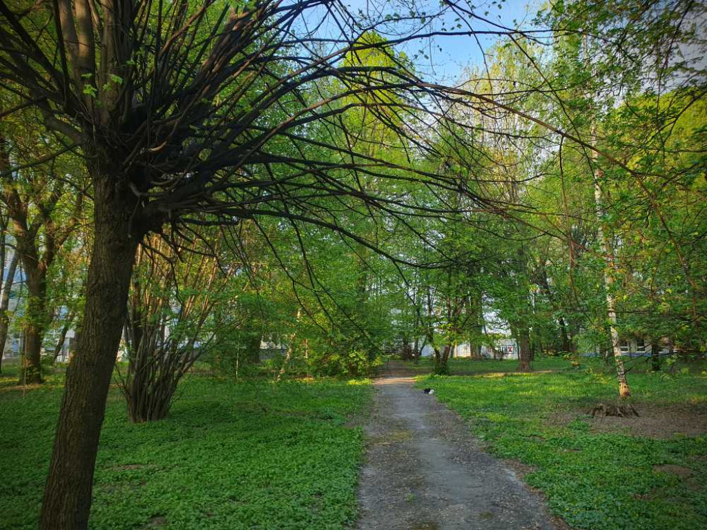 Gdzieś w Hrubieszowie... Park, ale nie ten... [ZDJĘCIA]