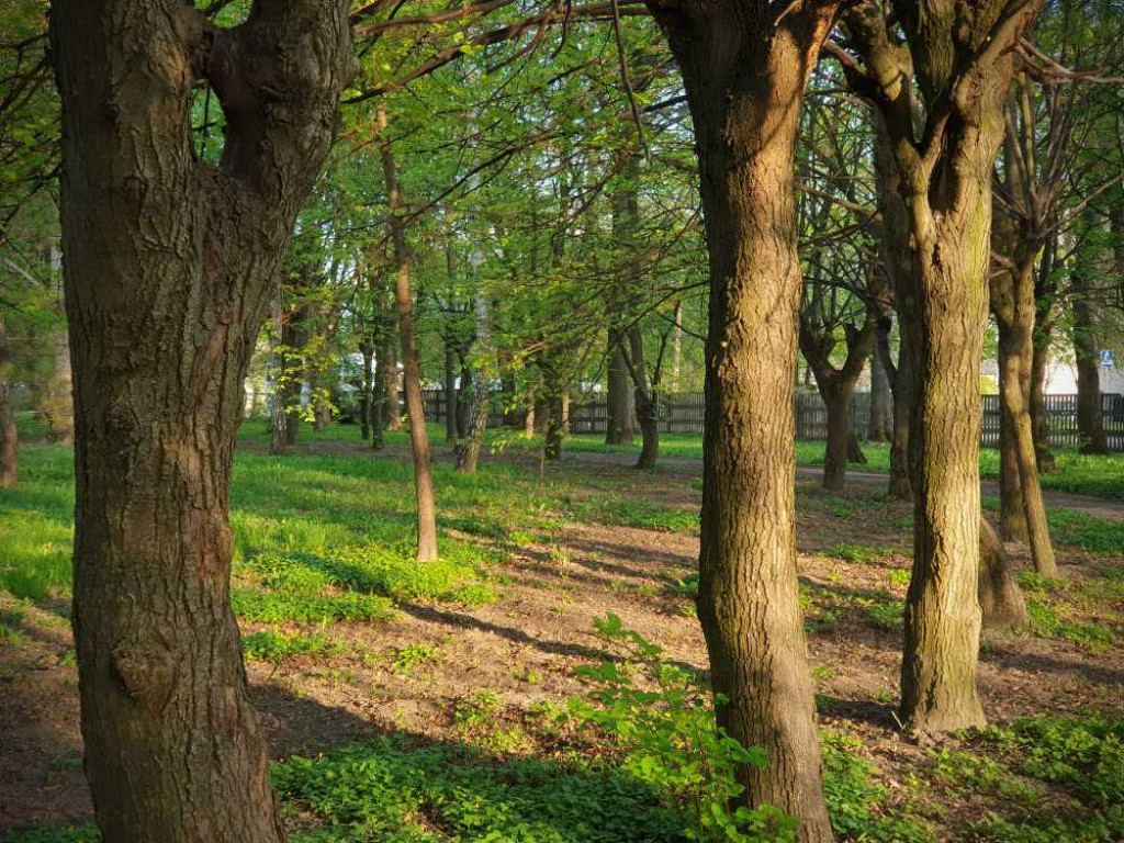 Gdzieś w Hrubieszowie... Park, ale nie ten... [ZDJĘCIA]
