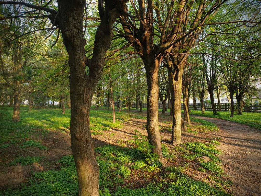 Gdzieś w Hrubieszowie... Park, ale nie ten... [ZDJĘCIA]