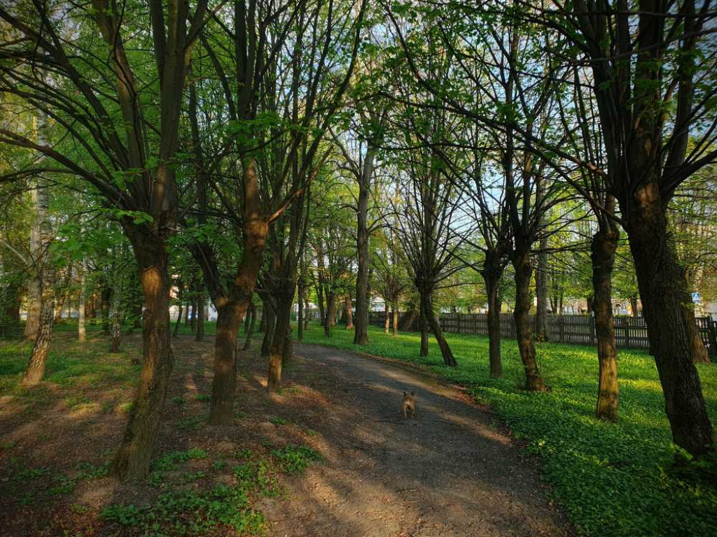Gdzieś w Hrubieszowie... Park, ale nie ten... [ZDJĘCIA]