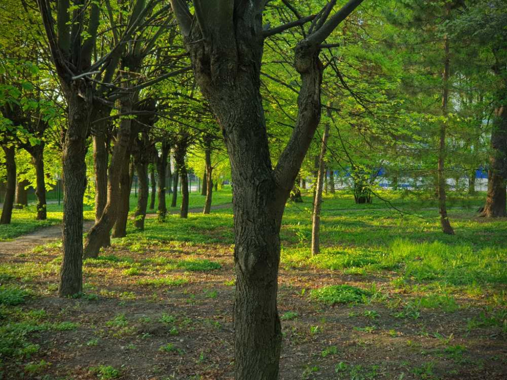 Gdzieś w Hrubieszowie... Park, ale nie ten... [ZDJĘCIA]