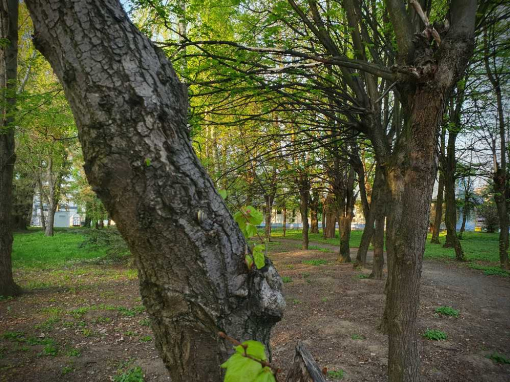 Gdzieś w Hrubieszowie... Park, ale nie ten... [ZDJĘCIA]