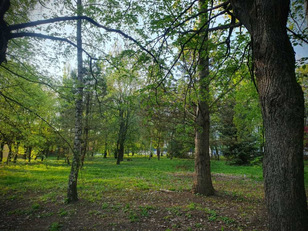 Gdzieś w Hrubieszowie... Park, ale nie ten... [ZDJĘCIA]