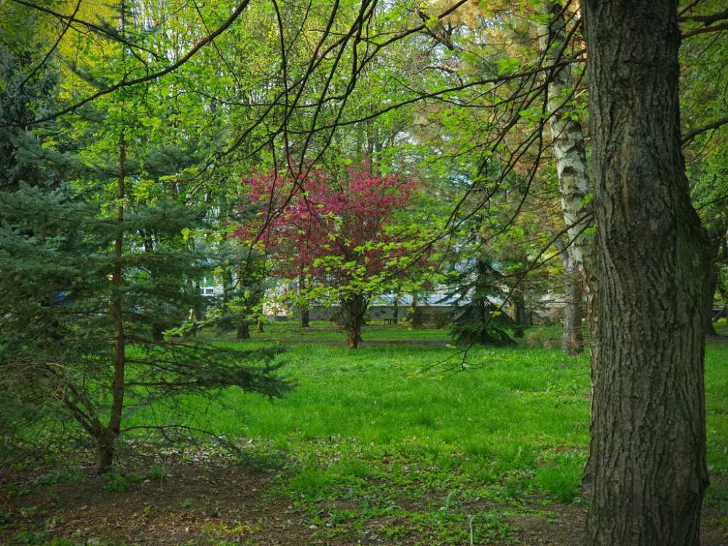 Gdzieś w Hrubieszowie... Park, ale nie ten... [ZDJĘCIA]
