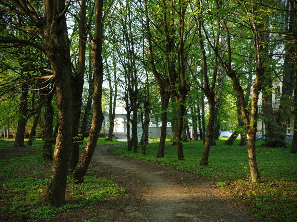 Gdzieś w Hrubieszowie... Park, ale nie ten... [ZDJĘCIA]