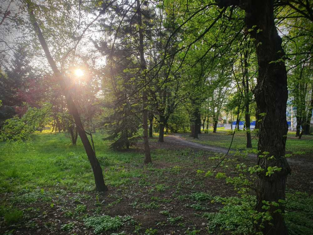 Gdzieś w Hrubieszowie... Park, ale nie ten... [ZDJĘCIA]