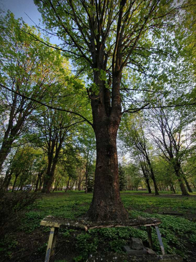 Gdzieś w Hrubieszowie... Park, ale nie ten... [ZDJĘCIA]