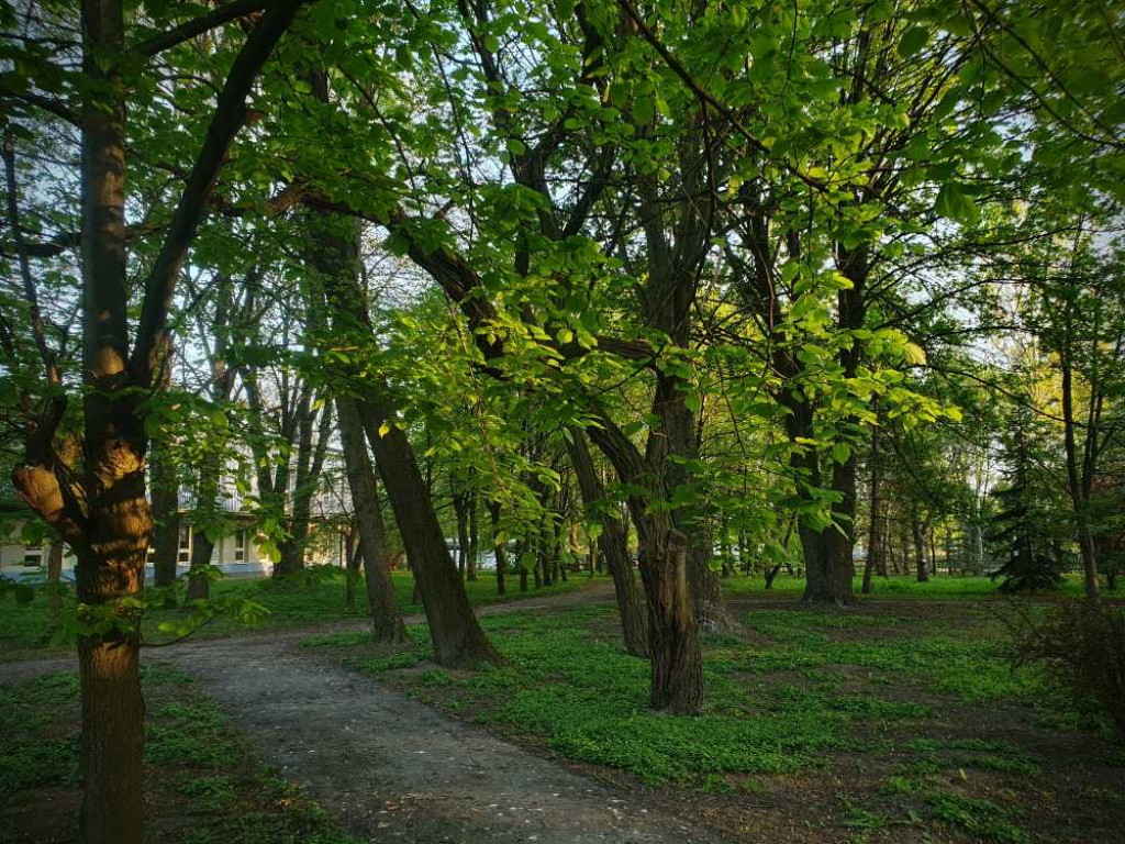 Gdzieś w Hrubieszowie... Park, ale nie ten... [ZDJĘCIA]