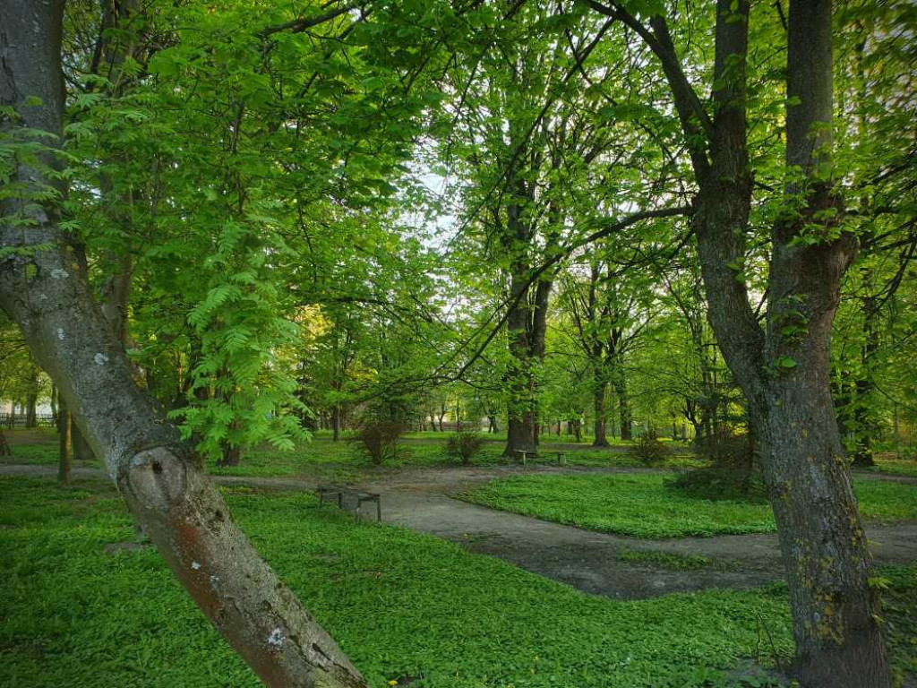Gdzieś w Hrubieszowie... Park, ale nie ten... [ZDJĘCIA]